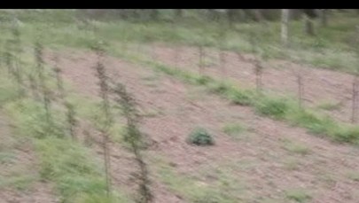 Gmina Wilków półtora roku po powodzi