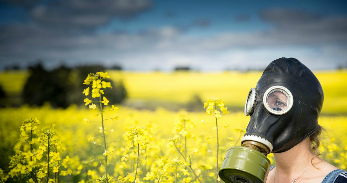 gmo na szkodniki /© Photogenica