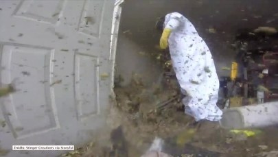 Gniazdo os na pół garażu. Jego oczyszczanie trwało prawie godzinę