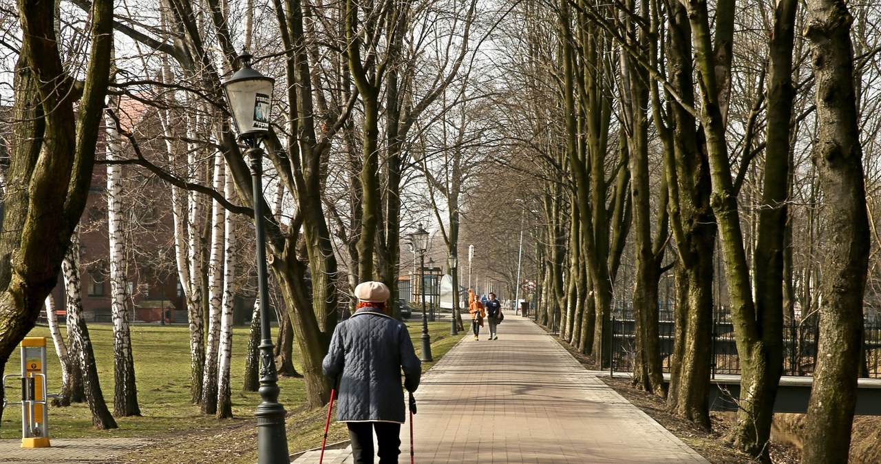 Goczałkowice-Zdrój to urokliwe uzdrowisko leżące na Śląsku. Co warto o nim wiedzieć? /East News