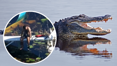 Godzinami czekał na ratunek. Wokół niego pływały aligatory