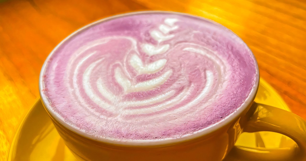 Goguma latte to koreański napój na szczupłą sylwetkę i gładką skórę. /123RF/Picsel, 123RF/Picsel /Pixel