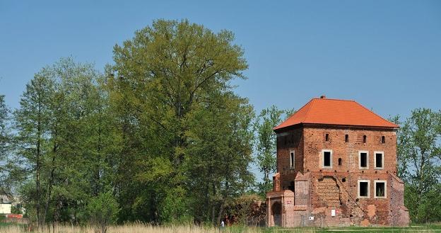 Golancz - zamek zrujnowany przez Szwedów. Fot. Wojciech Stróżyk /Reporter