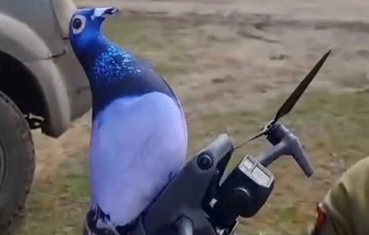 Gołębie w akcji, czyli dronowanie po ukraińsku /Ukraine Weapons Tracker /Twitter