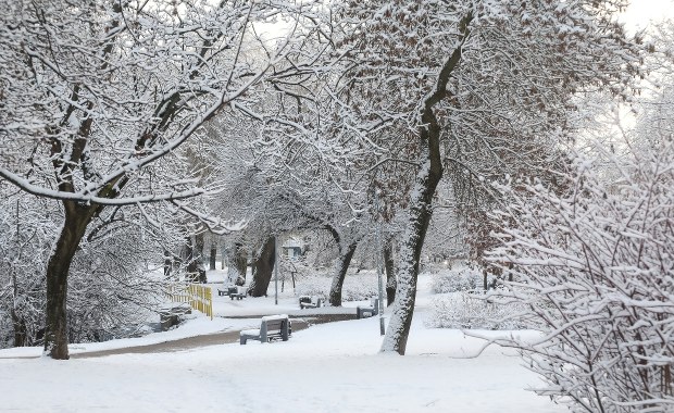 Gołoledź i silny wiatr. Ostrzeżenia IMGW