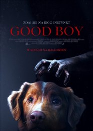 Good Boy