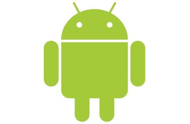 Google nie może przezwyciężyć problemów związanych z  dostępnością aktualizacji Androida /materiały prasowe