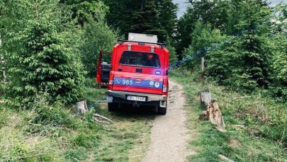 GOPR podsumował maj: Pomocy potrzebowało 47 turystów