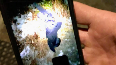 GOPR szukało agresywnego turysty. Okazało się, że był w domu