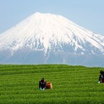 Góra Fudżi została wpisana na listę dziedzictwa UNESCO 