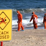 Góra tłuszczu wielkości czterech autobusów zablokowała plaże