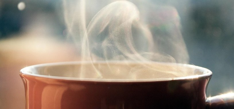 gorąca herbata /© Photogenica