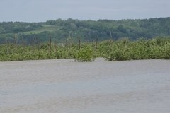 Gorąca Linia: Powódź w gminie Wilków - tylko w RMF FM, cz. 6