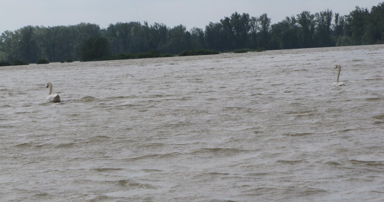 Gorąca Linia: Powódź w gminie Wilków - tylko w RMF FM, cz.7