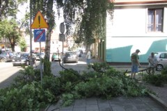 Gorąca Linia RMF FM: Lubuskie po wichurze