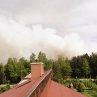 Pożar lasu w Bukownie