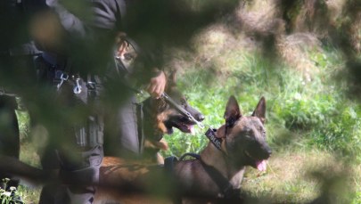 Gorąca woda zalała policyjne laboratorium. Nie żyje 6 psów 