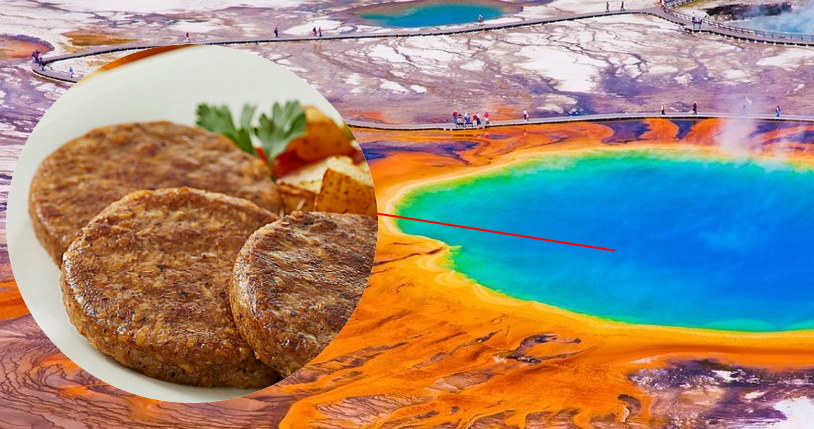 Gorące źródła Yellowstone kryją drobnoustroje przydatne do produkcji bezmięsnego jedzenia /materiały prasowe