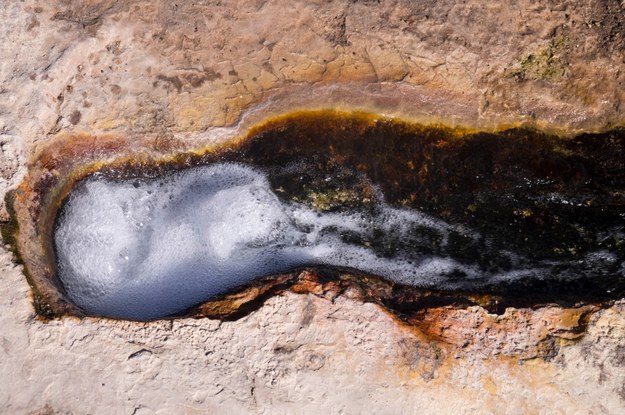 Gorące źrodło w rejonie El Tatio w północnym Chile /Yaroslav Ispolatov /Materiały prasowe