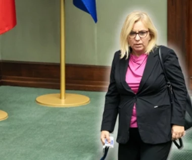 Gorąco wokół "Czystego Powietrza". Kłótnia na sejmowej komisji, "nasze firmy bankrutują!"