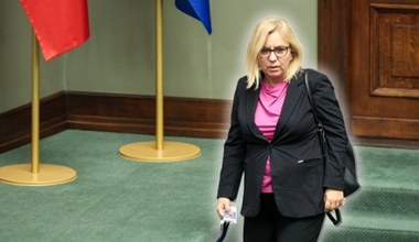 Gorąco wokół "Czystego Powietrza". Kłótnia na sejmowej komisji, "nasze firmy bankrutują!"