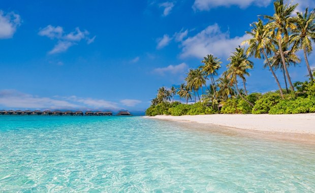 Gorący piasek i krystaliczna woda - oto lista najpiękniejszych plaż świata, które pokochali turyści!