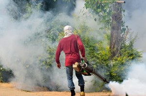 Gorączka denga i żółta febra powracają. Do 2080 r. zakażonych będzie aż 2 mld osób?