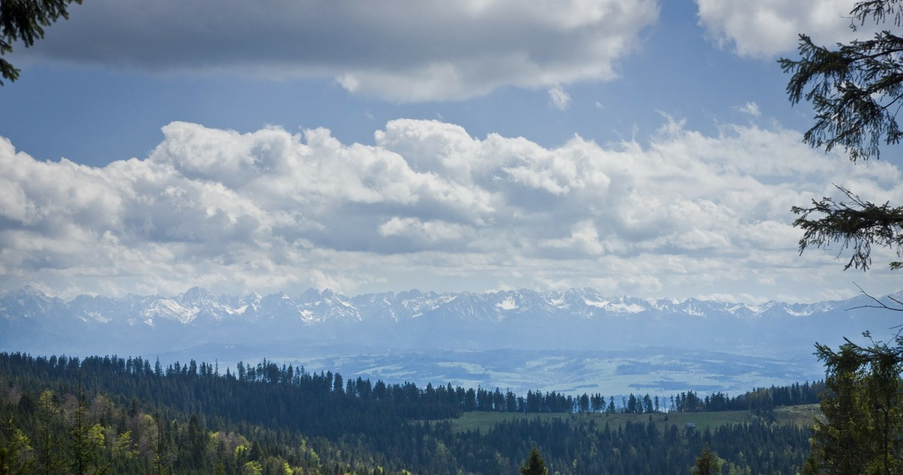 Gorce oferują zachwycające widoki na Tatry. Turbacz to doskonałe miejsce na podziwianie majestatycznej panoramy najwyższych gór Polski. /East News