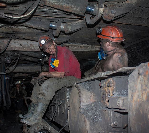 Górnicy nie zgadzają się na obniżkę wynagrodzeń; rozpoczęli masówki /&copy;123RF/PICSEL