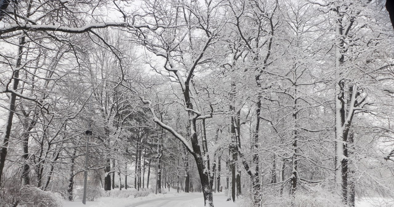Górskie uzdrowisko zostało zasypane przez śnieg /Pixel