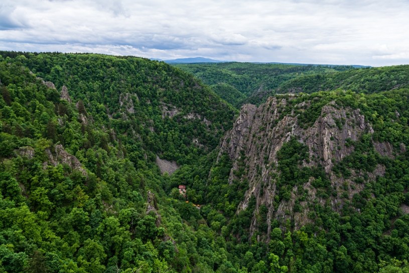 Góry Harz to jedne z najbardziej malowniczych pasm w Europie /123RF/PICSEL