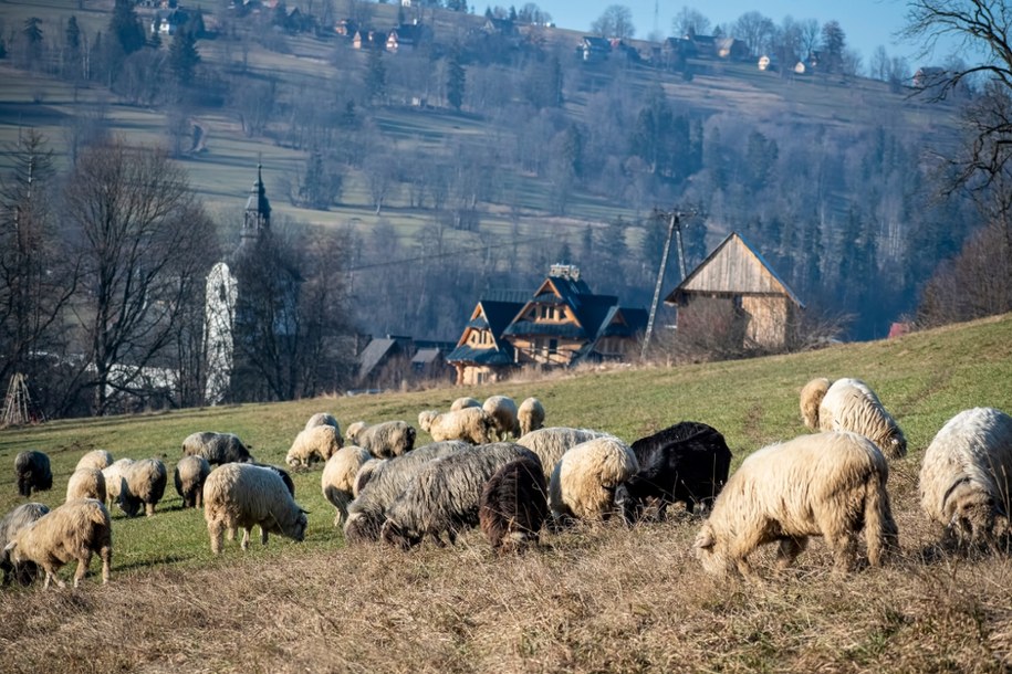 Góry, morze i uzdrowiska – różnorodność polskich hitów turystycznych /Shutterstock
