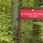 Góry nad Bałtykiem. Wyjątkowy region na północy Polski
