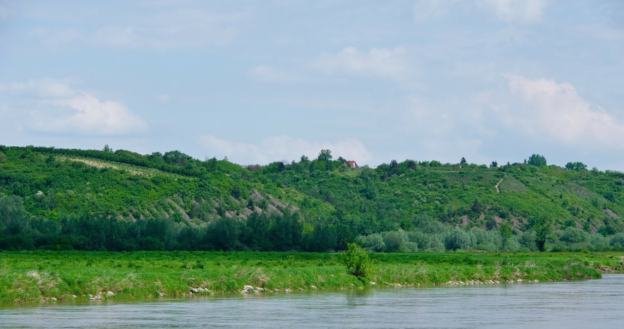 Góry Pieprzowe pod Sandomierzem. /Marek Bazak /East News