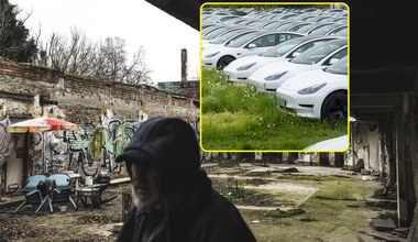 Góry śmieci, trująca chemia i bezdomni śpiący w autach. Co się dzieje z Teslą?