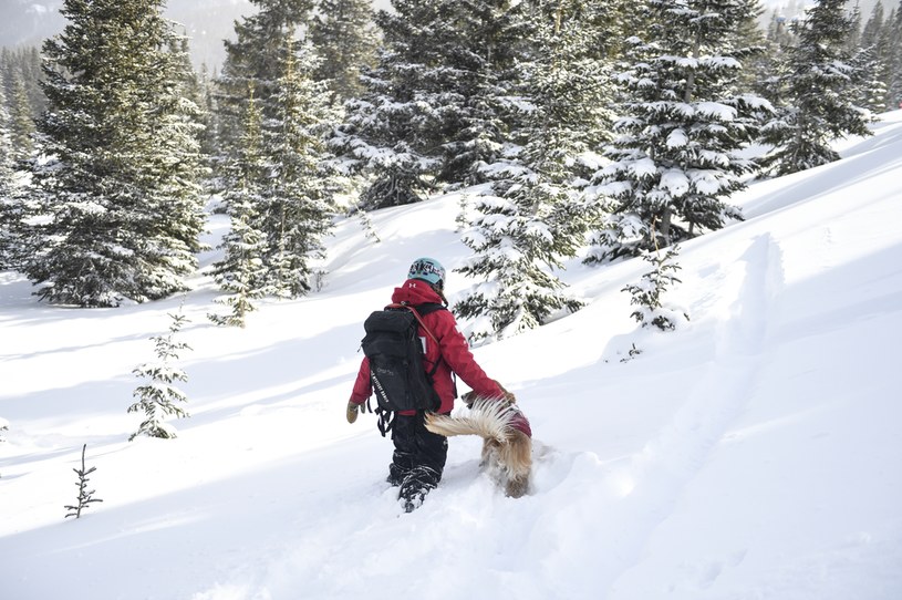 Góry w zimie zachwycają, jednak mogą być śmiertelnie niebezpieczne /Getty Images