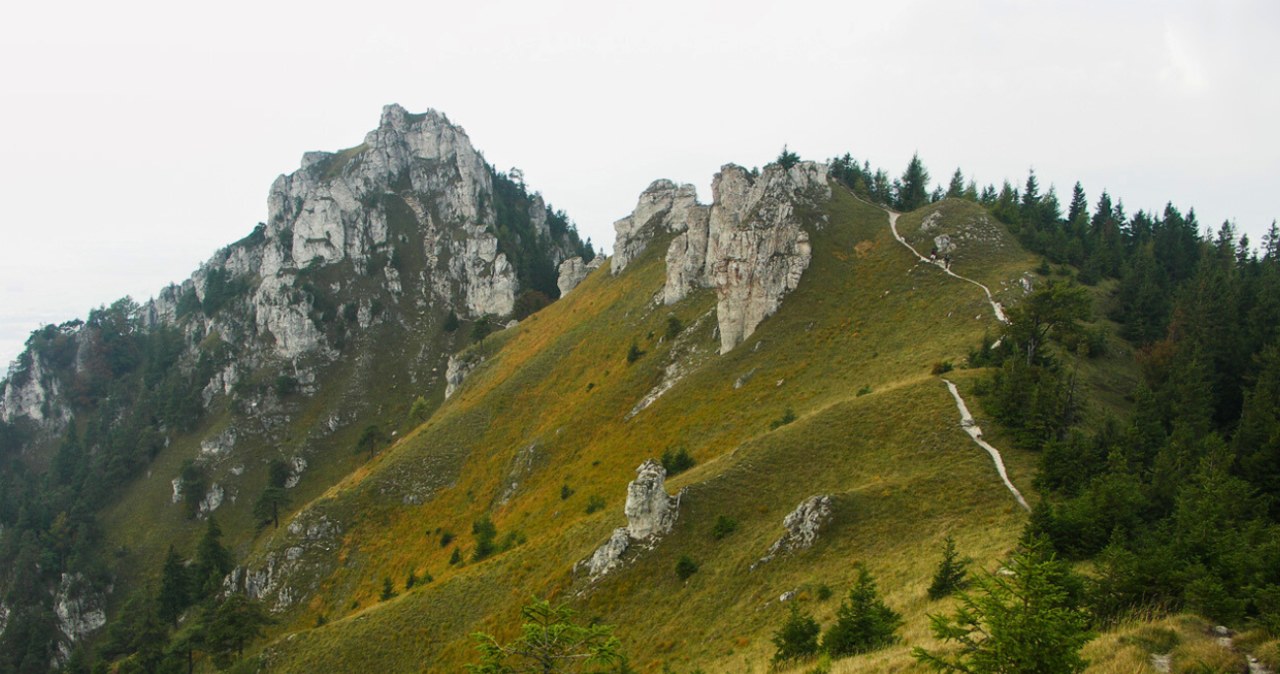 Góry Wielkiej Fatry zapierają dech w piersiach /Caroig /CC BY-SA 2.5