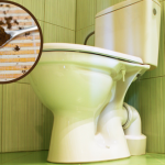 ​Goście stoją w drzwiach, a z toalety śmierdzi? Wrzuć to na 15 minut