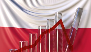 Gospodarka odbiła szybko po pandemii, ale teraz zwolni