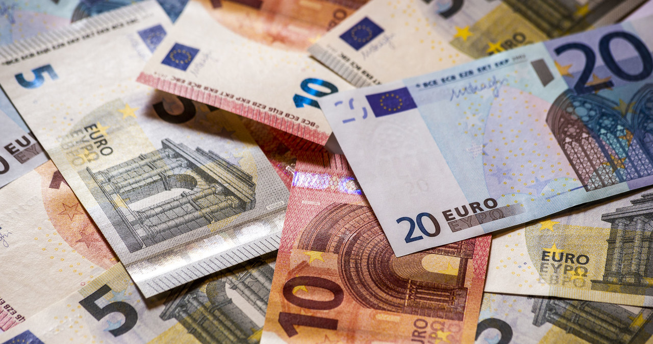 Gospodarka strefy euro pomaga swojej walucie. /123RF/PICSEL