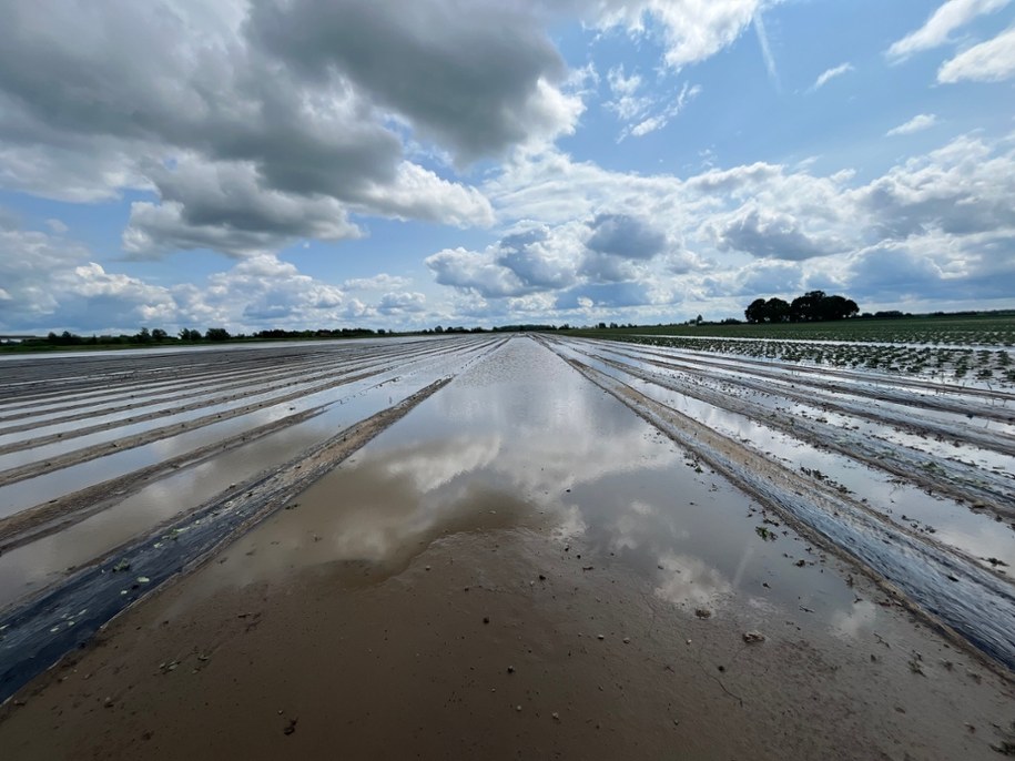 Gospodarstwo rolne rodziny Sznajderów /Martyna Czerwińska /RMF FM