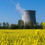 Gowin o atomie: Prowadzimy poważne rozmowy z Francuzami 