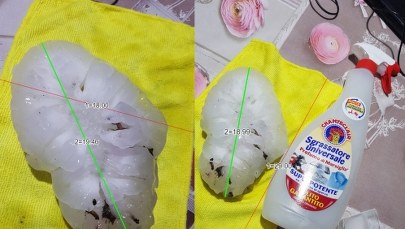 Grad o średnicy 19 cm. To rekord w skali Europy