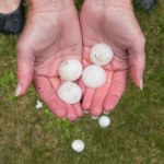 grad Grad wielkości grejpfruta. Kulki mogą mieć 3 cm średnicy