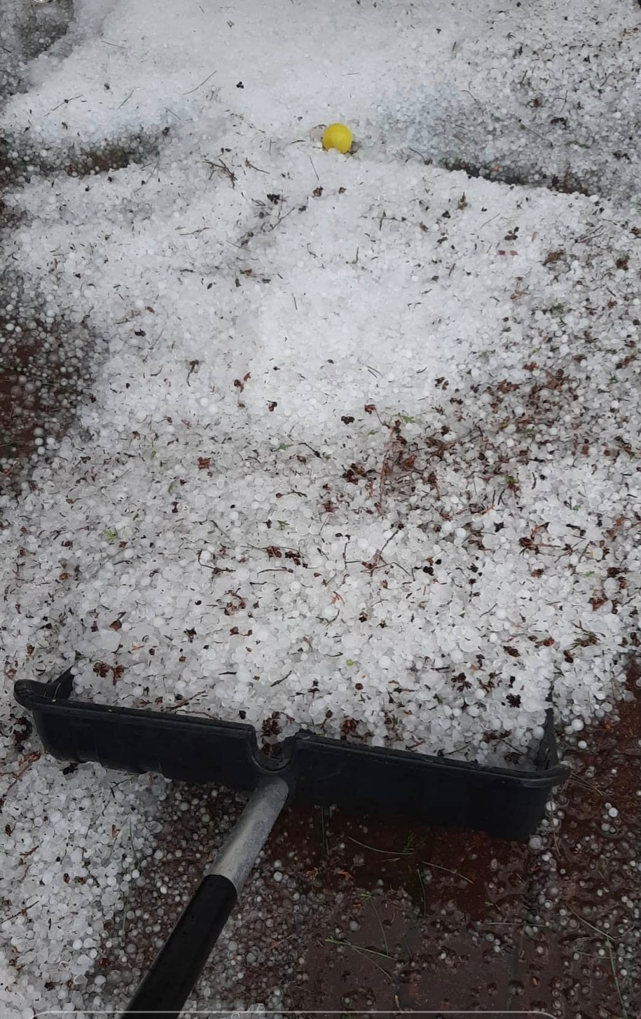 Gradobicie w gminie Boguchwała /Gorąca Linia RMF FM