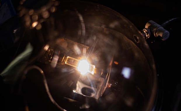 Grafen ze... skórki od banana