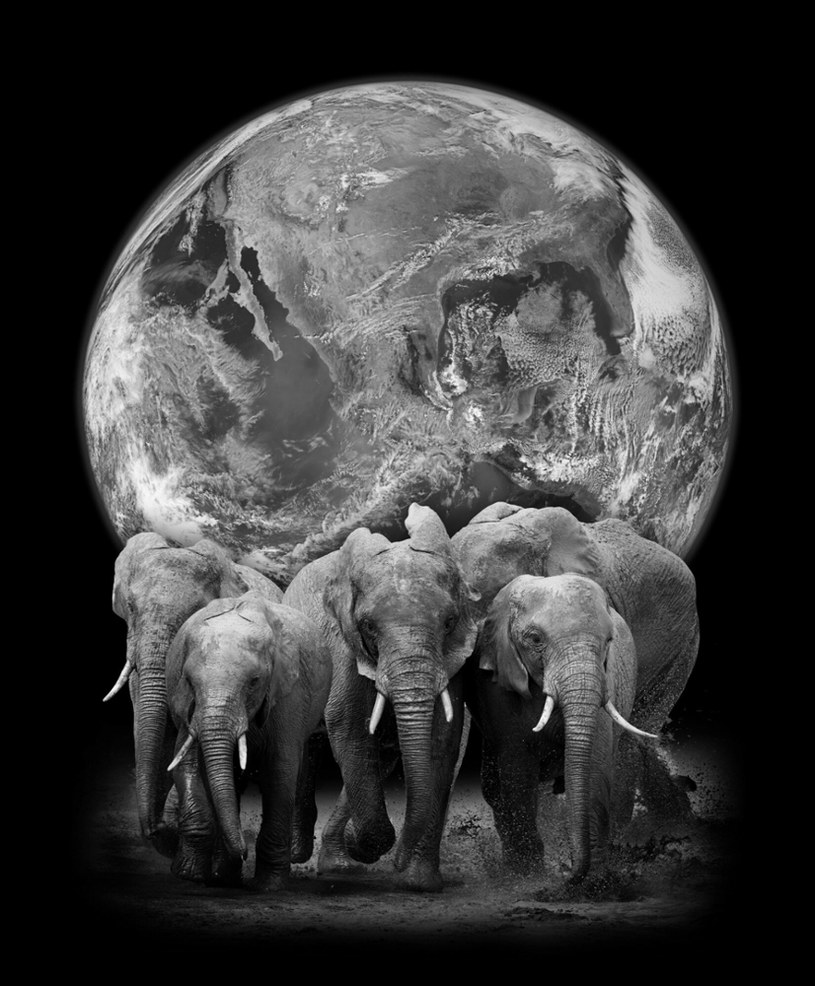Graficy NASA przedstawili własną wizję Ziemi opartej na słoniach /East News