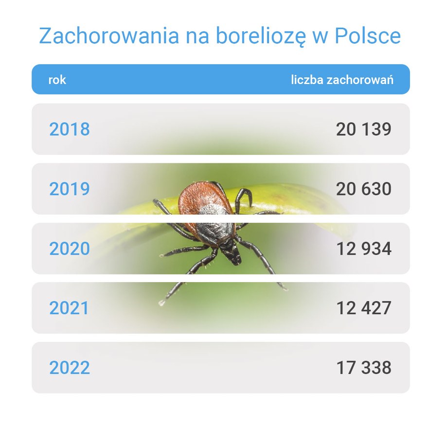 Grafika na podstawie danych Narodowego Instytutu Zdrowia Publicznego – Państwowy Zakład Higieny. /Grafika RMF FM