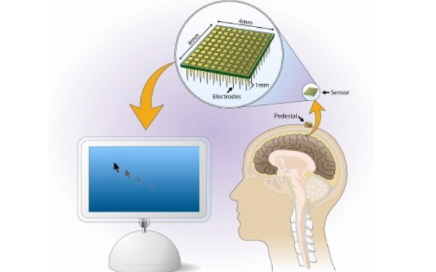 Grafika obrazująca jedno z wielu zastosowań, nad jakim pracują naukowcy z dziedziny neurotechnologii /AFP