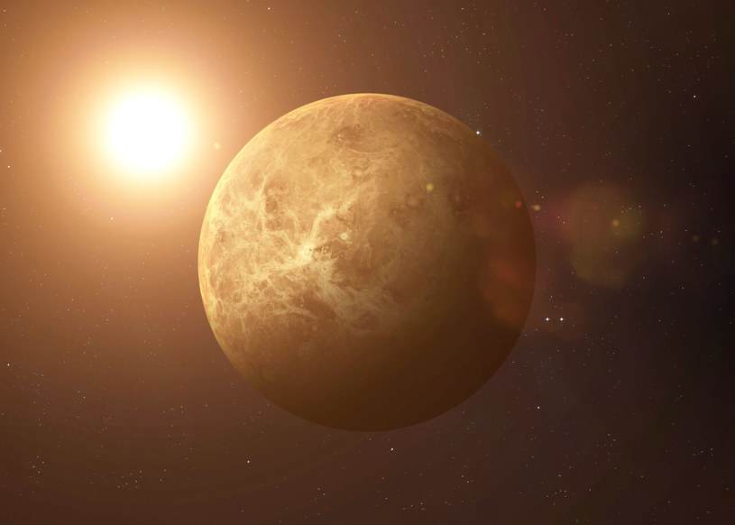 Grafika przedstawiająca Wenus /123RF/PICSEL